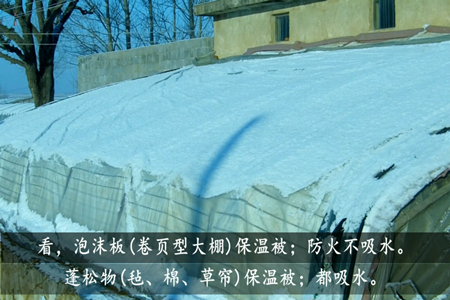青島風全溫室配套有限公司